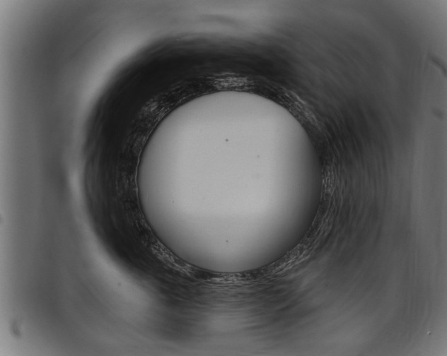 X0000098010763200803280730