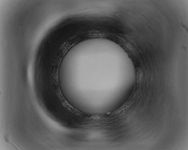 X0000098010764200803280730