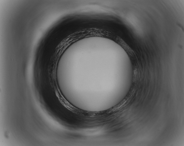 X0000098010765200803280730
