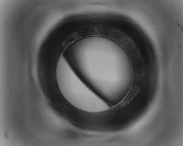X0000098010766200803280730