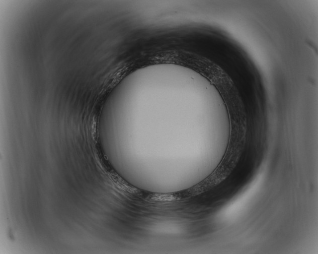 X0000098010767200803280730