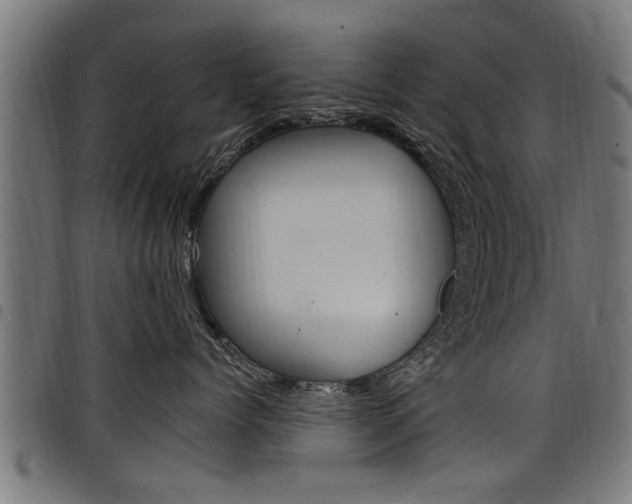 X0000098010768200803280730