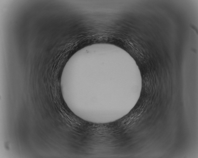 X0000098010769200803280730