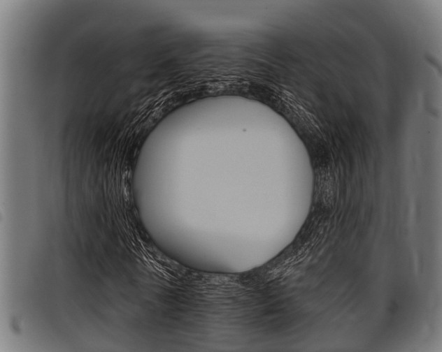 X0000098010770200803280730