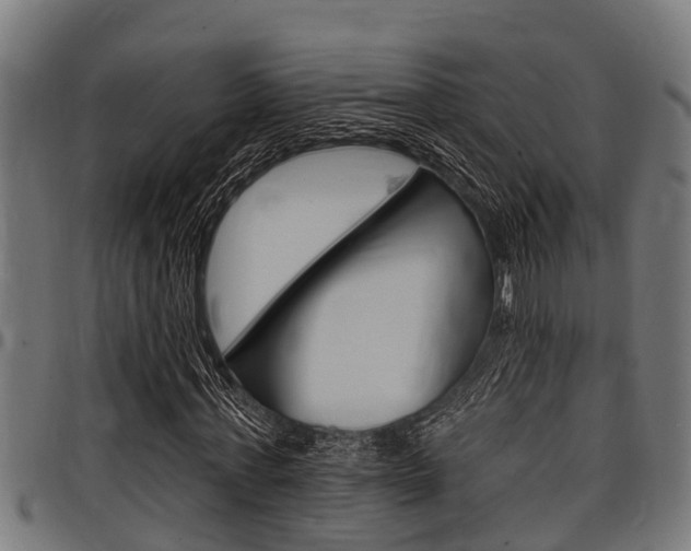 X0000098010771200803280730