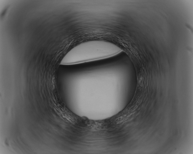 X0000098010772200803280730
