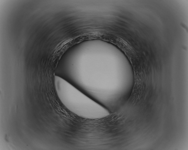 X0000098010773200803280730