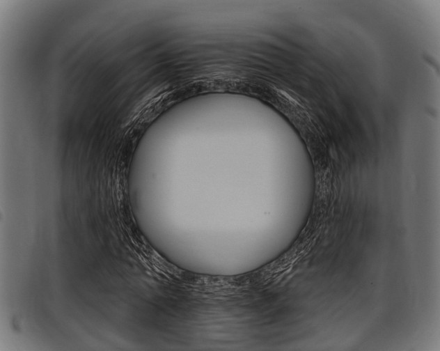 X0000098010774200803280730
