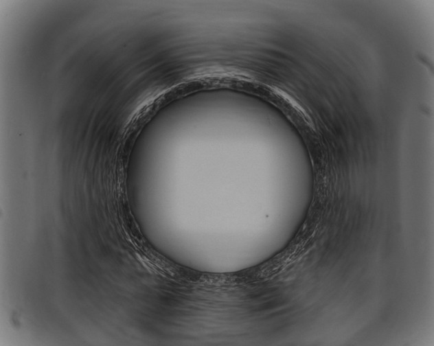 X0000098010775200803280730