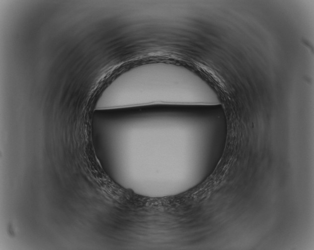 X0000098010776200803280730