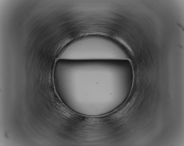 X0000098010777200803280730