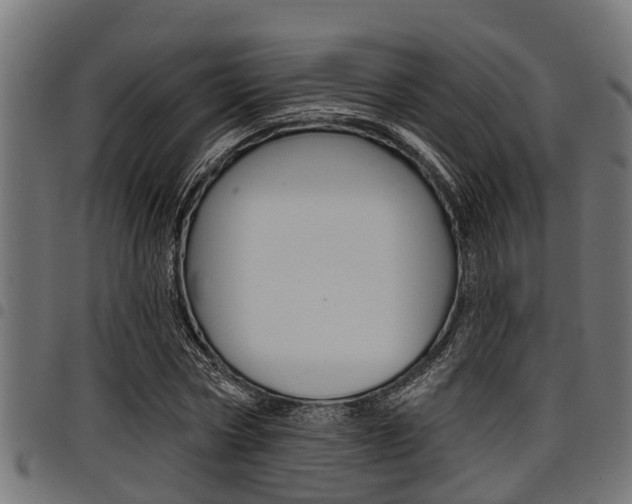 X0000098010778200803280730