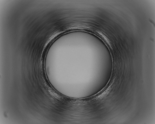 X0000098010779200803280730