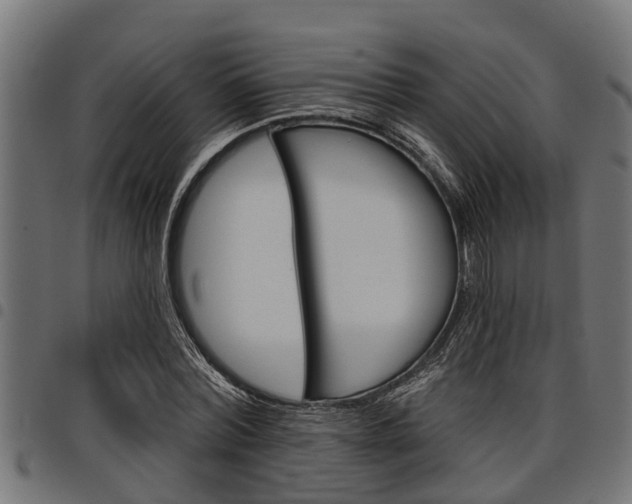X0000098010780200803280730