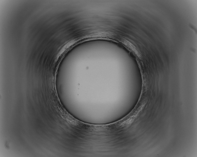 X0000098010781200803280730