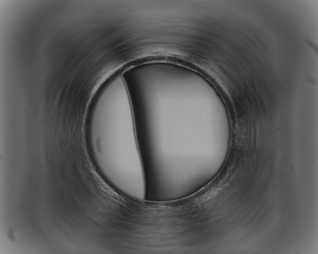 X0000098010783200803280729