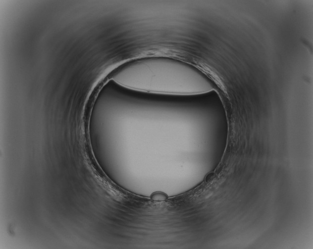 X0000098010784200803280729