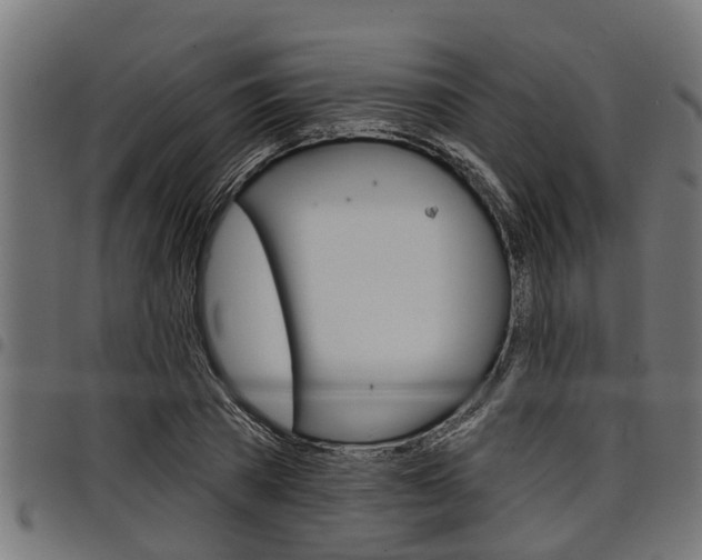 X0000098010785200803280729