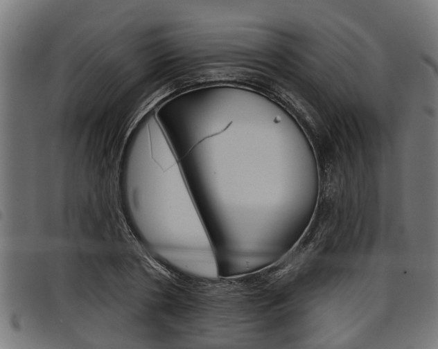 X0000098010786200803280729
