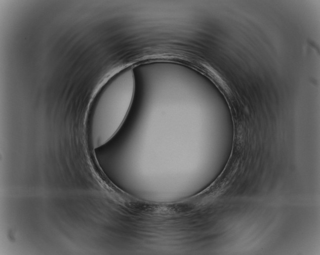 X0000098010787200803280729