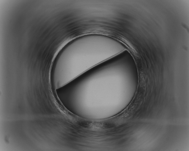 X0000098010788200803280729