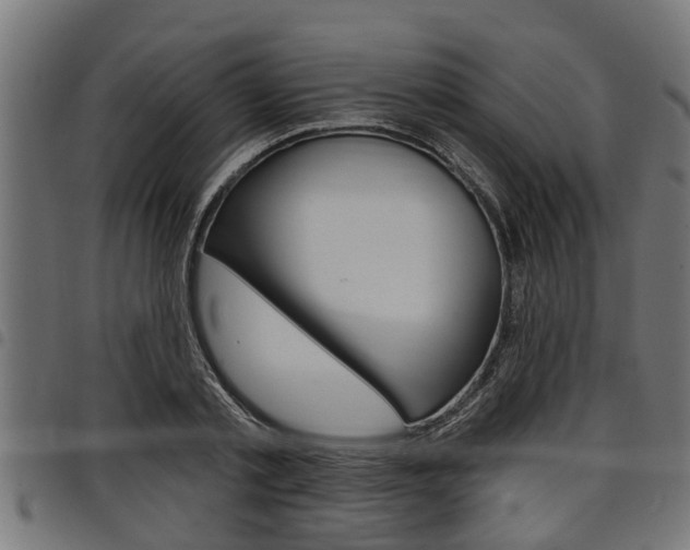 X0000098010789200803280729