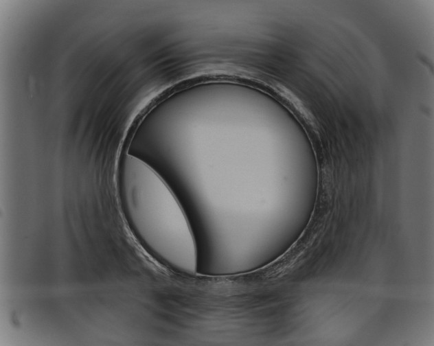 X0000098010791200803280729