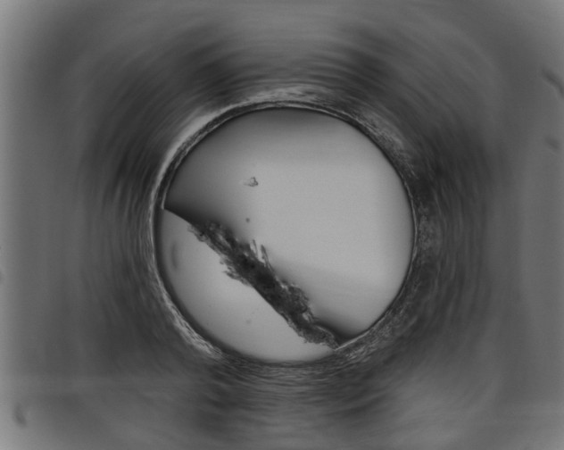 X0000098010792200803280729