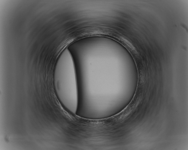 X0000098010793200803280729
