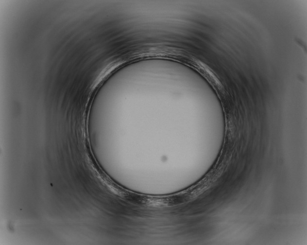 X0000098010794200803280729