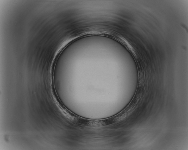 X0000098010795200803280729