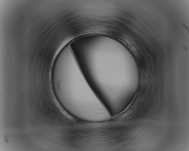 X0000098010796200803280729