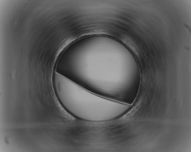 X0000098010797200803280729
