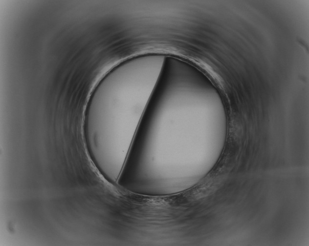X0000098010799200803280729