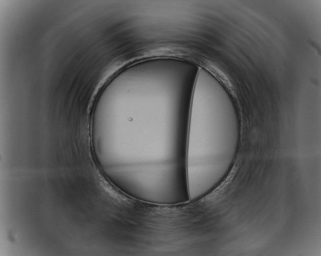 X0000098010800200803280729