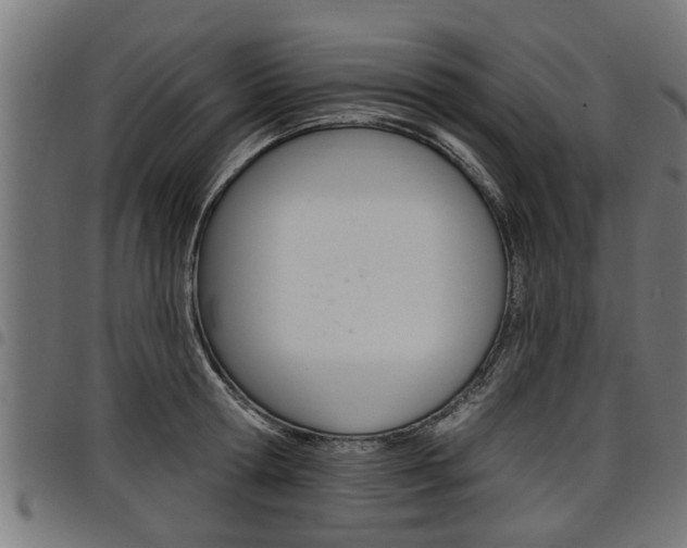 X0000098010802200803280729