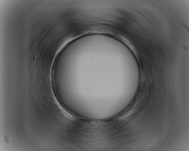 X0000098010803200803280729