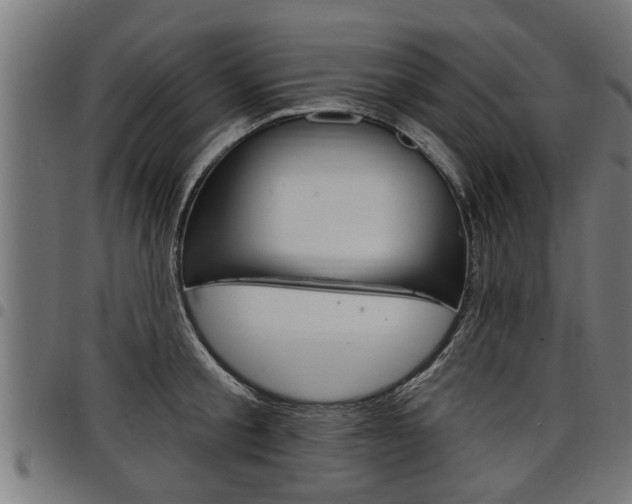 X0000098010805200803280729