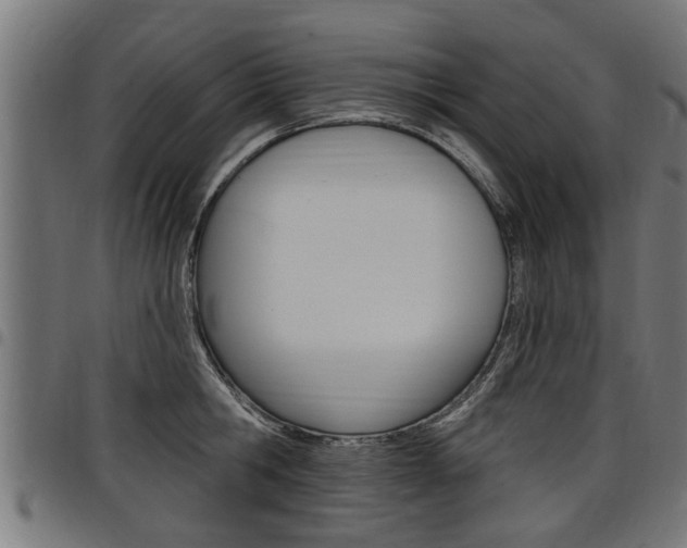 X0000098010806200803280729
