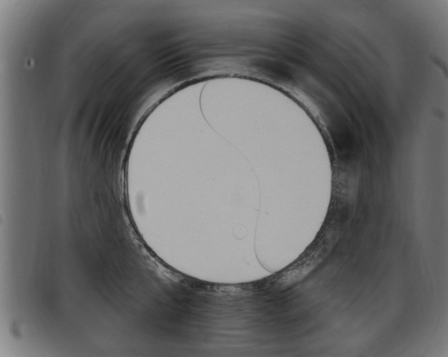 X0000098010807200803280729