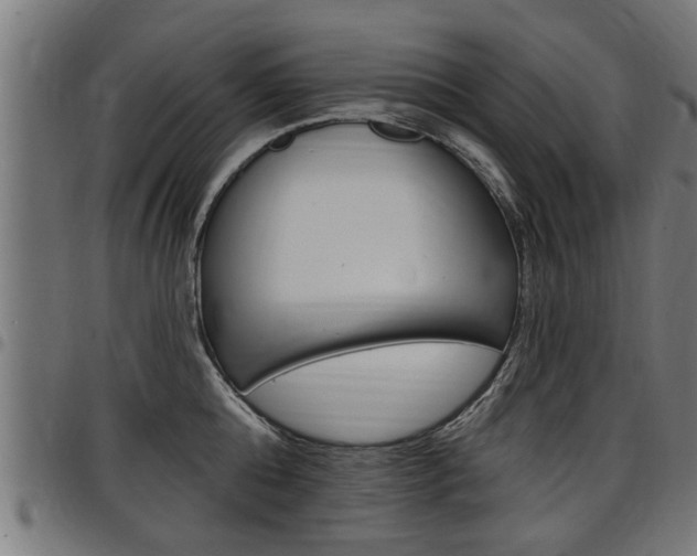 X0000098010808200803280729