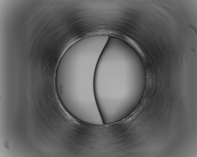 X0000098010810200803280729
