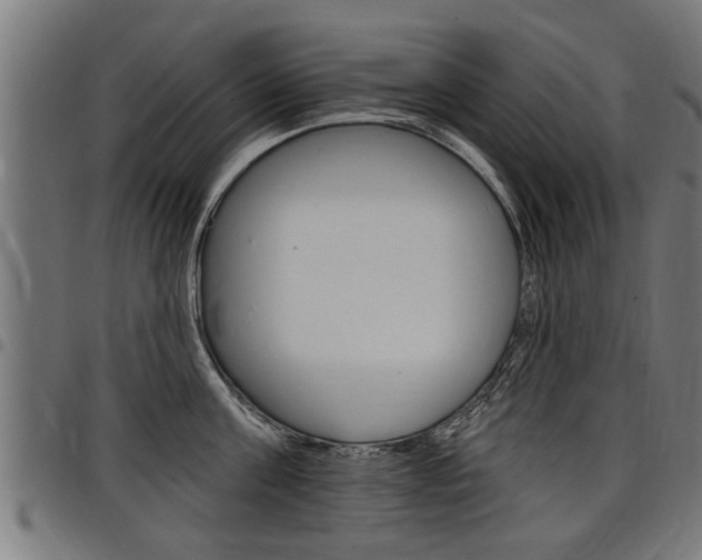 X0000098010811200803280729