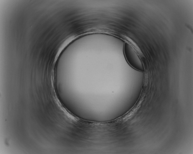 X0000098010812200803280729