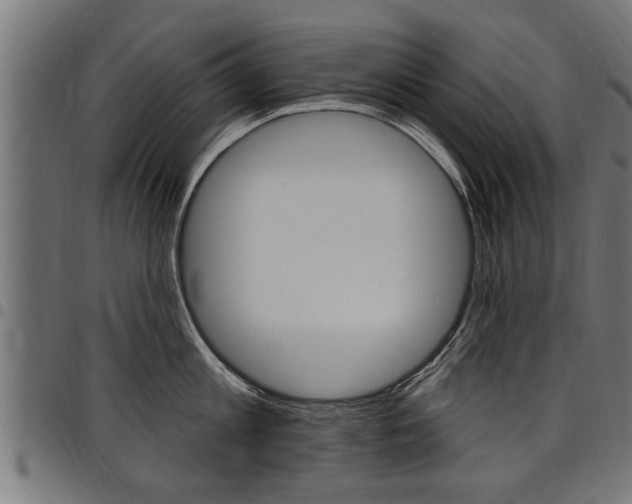X0000098010813200803280729