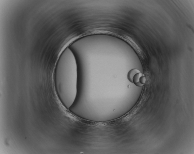 X0000098010814200803280729