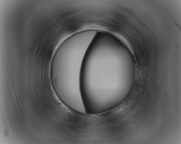 X0000098010815200803280729