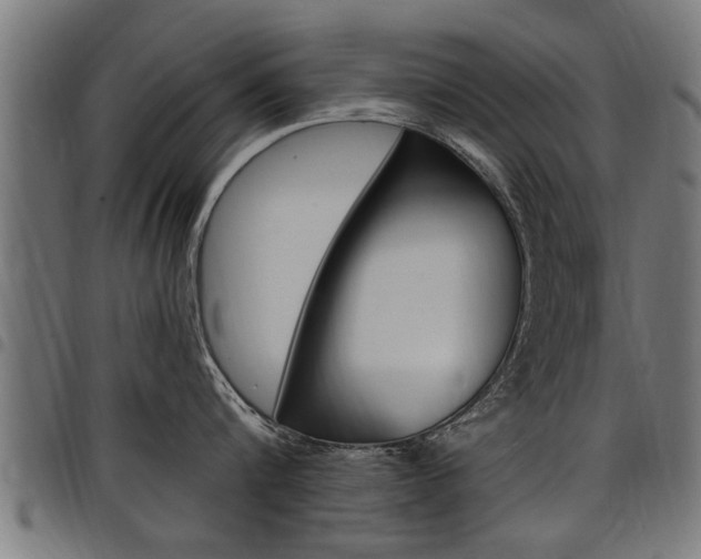 X0000098010816200803280729