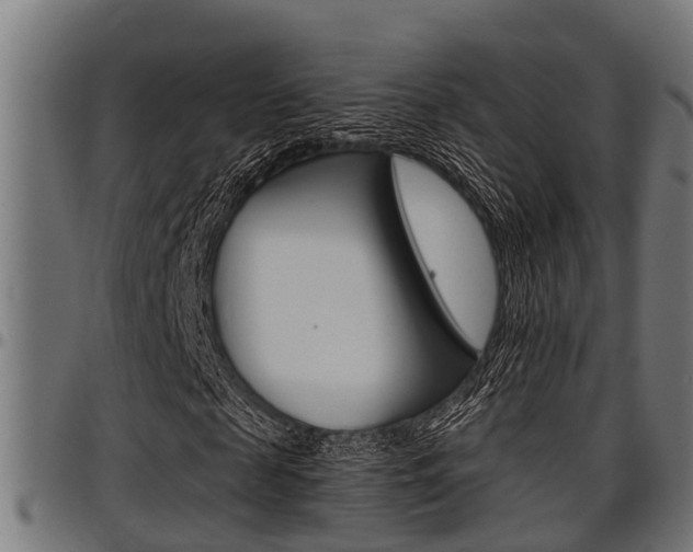 X0000098010817200803280728