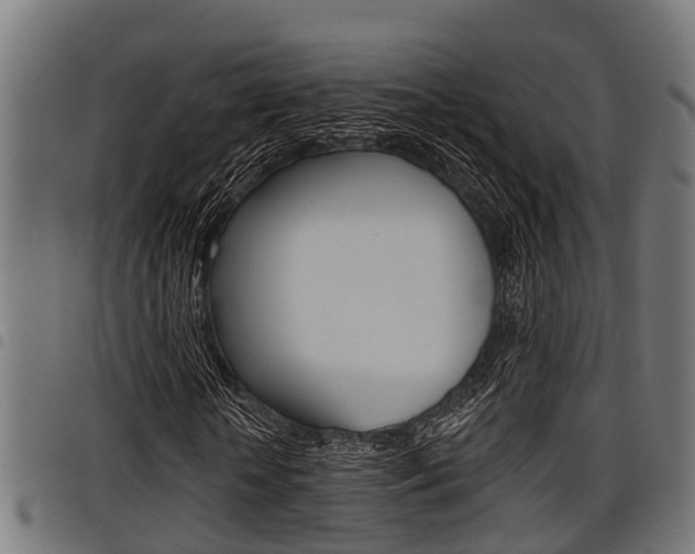 X0000098010818200803280728